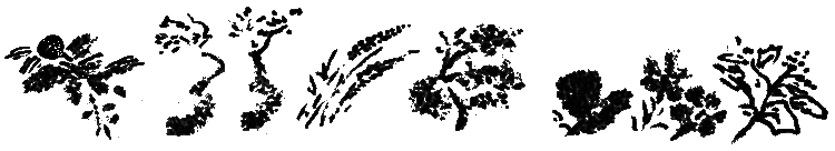 Рассказы и сказки i_071.png