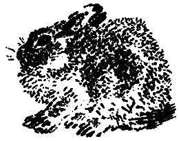 Рассказы и сказки i_072.png