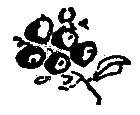 Рассказы и сказки i_100.png