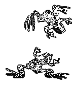 Рассказы и сказки i_110.png
