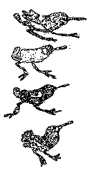 Рассказы и сказки i_111.png