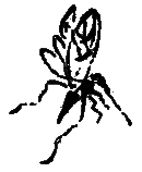 Рассказы и сказки i_113.png