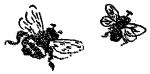 Рассказы и сказки i_114.png