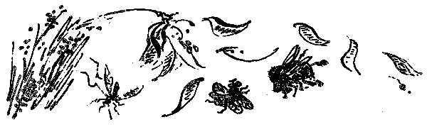 Рассказы и сказки i_115.png