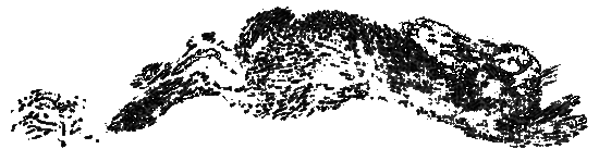 Рассказы и сказки i_118.png