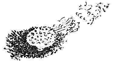 Рассказы и сказки i_120.png