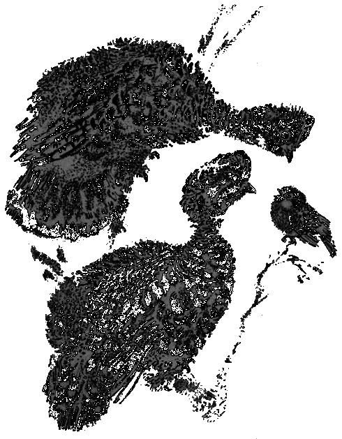 Рассказы и сказки i_123.png