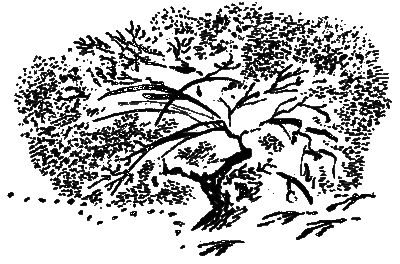 Рассказы и сказки i_125.png