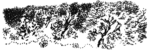 Рассказы и сказки i_135.png