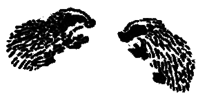 Рассказы и сказки i_011.png