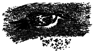 Рассказы и сказки i_013.png