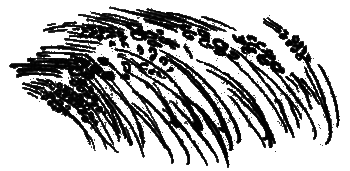 Рассказы и сказки i_014.png