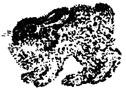 Рассказы и сказки i_026.png