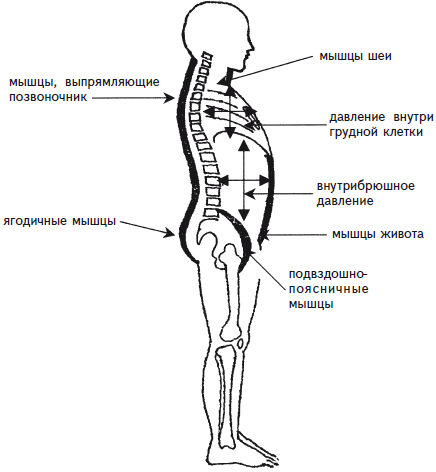 Как избавиться от боли в спине i_035.png