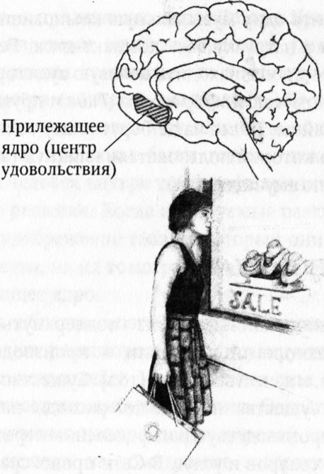 Мозг онлайн. Человек в эпоху Интернета i_015.jpg
