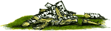 Рябиновое солнце img21.png