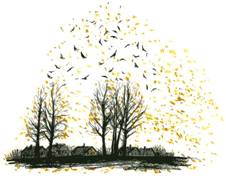 Рябиновое солнце img25.png