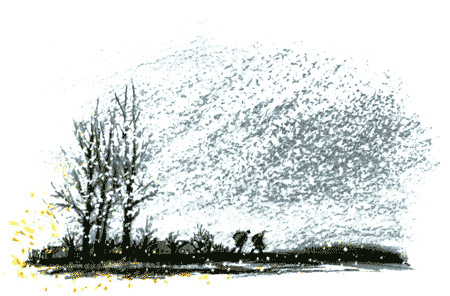 Рябиновое солнце img27.png