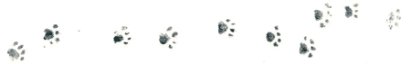 Рябиновое солнце img29.png