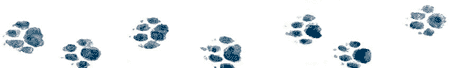 Рябиновое солнце img31.png