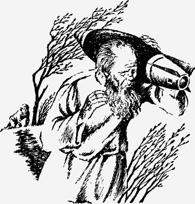 Лазоревый петух моего детства (сборник) i_004.png