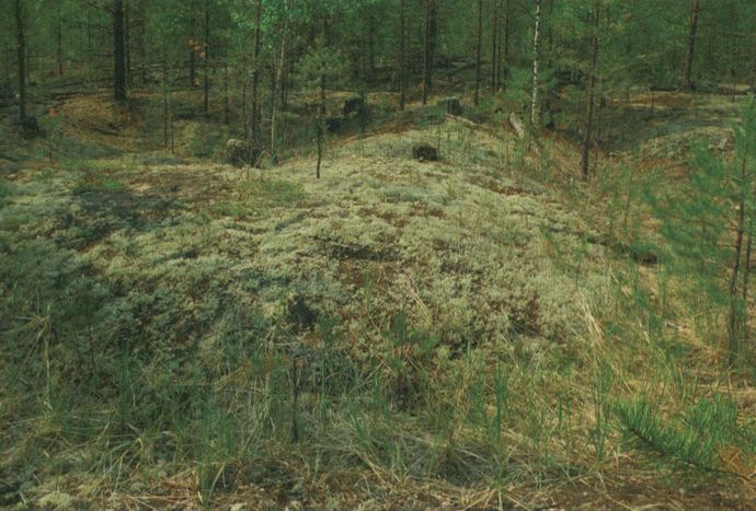 Сияние Вышних Богов и крамешники f41.jpg