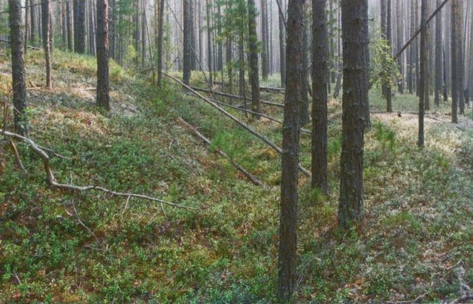 Сияние Вышних Богов и крамешники f57.jpg