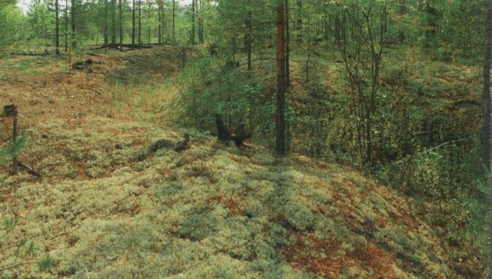 Сияние Вышних Богов и крамешники f58.jpg
