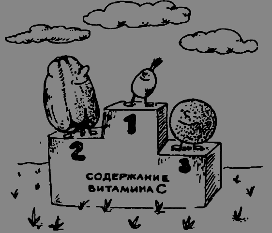 В Сибири - всегда с овощами image023.png