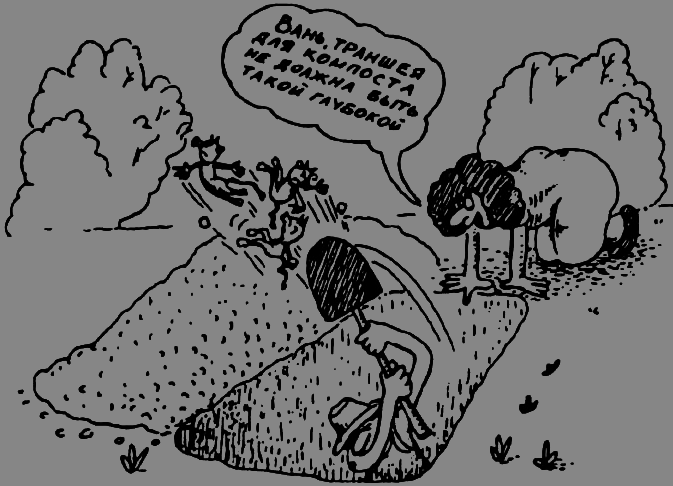 В Сибири - всегда с овощами image007.png