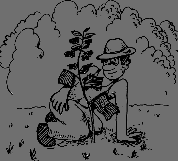 В Сибири - всегда с овощами image029.png
