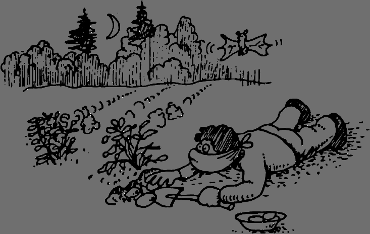 В Сибири - всегда с овощами image033.png