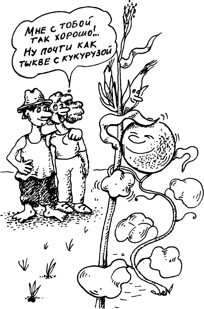 В Сибири - всегда с овощами image039.png