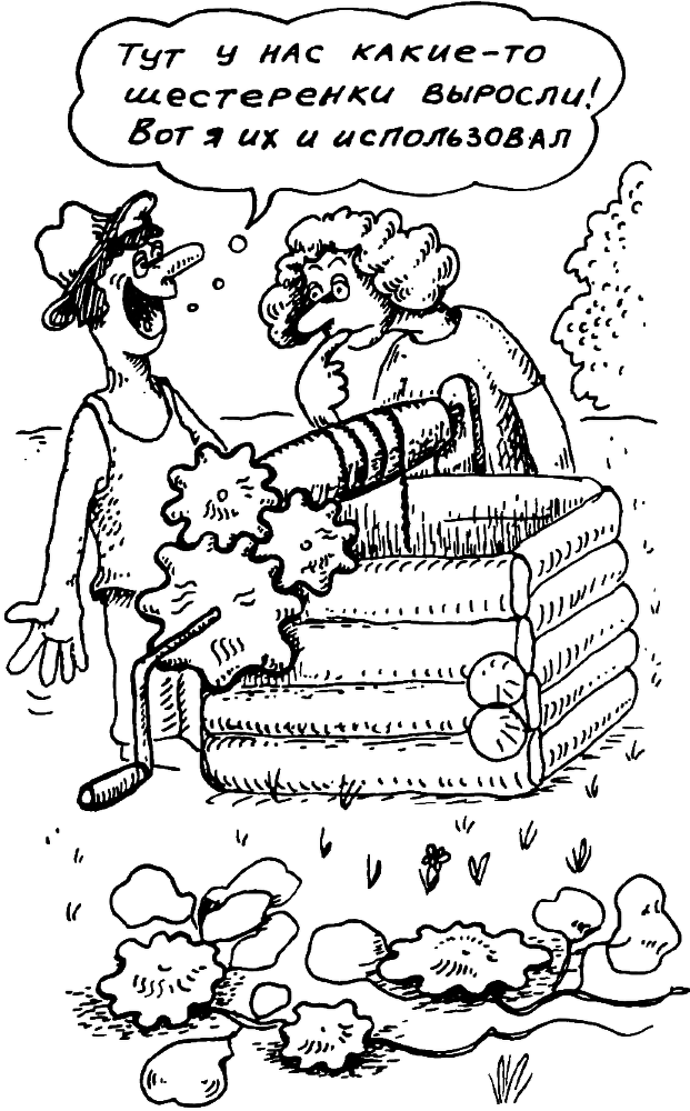 В Сибири - всегда с овощами image041.png