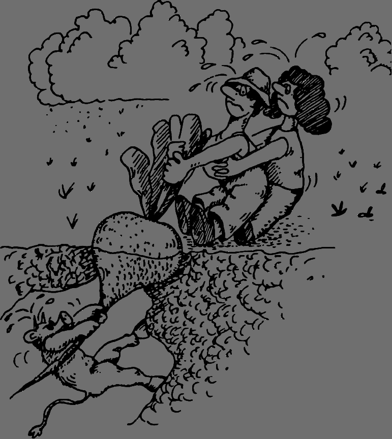 В Сибири - всегда с овощами image047.png