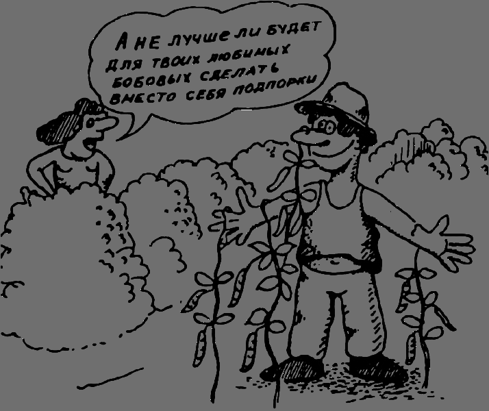 В Сибири - всегда с овощами image049.png
