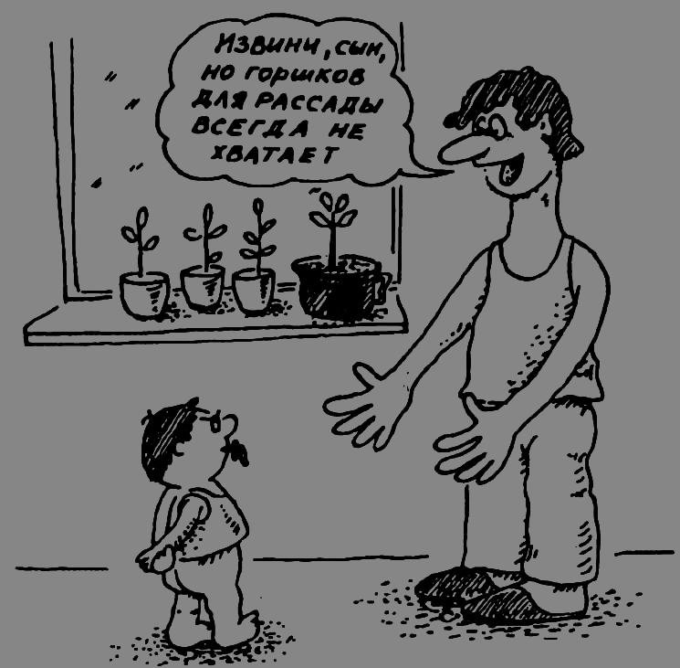 В Сибири - всегда с овощами image017.png