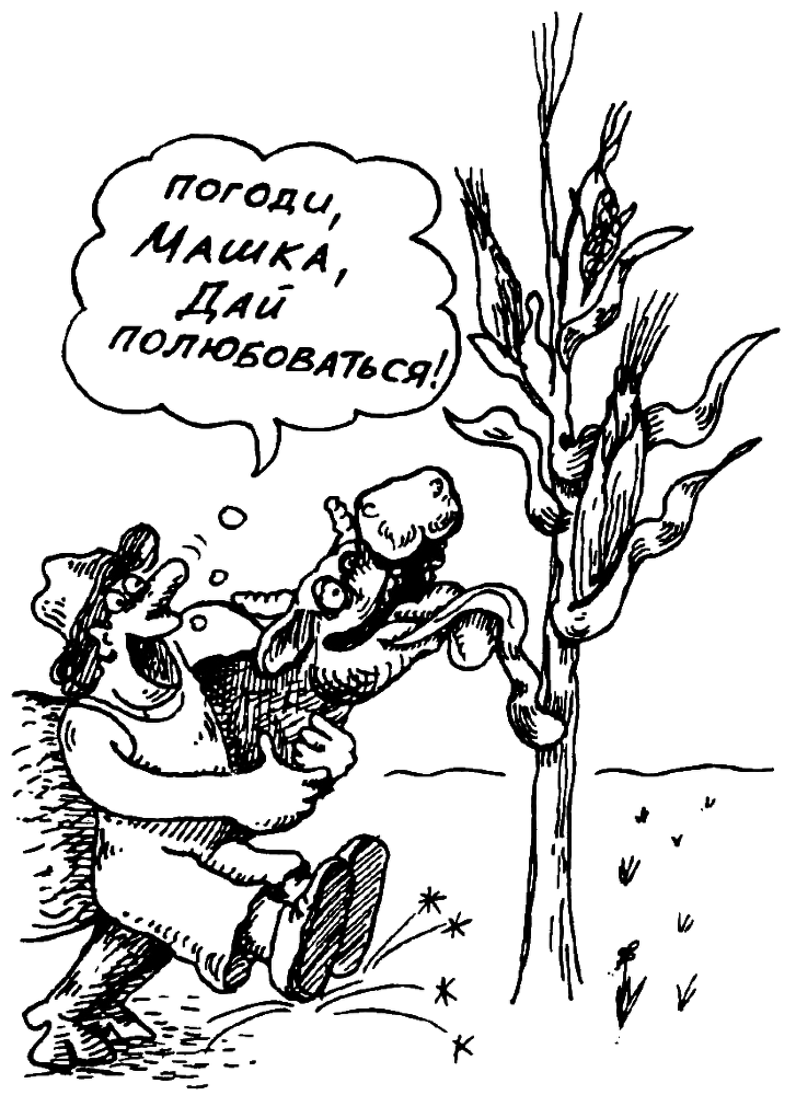 В Сибири - всегда с овощами image053.png