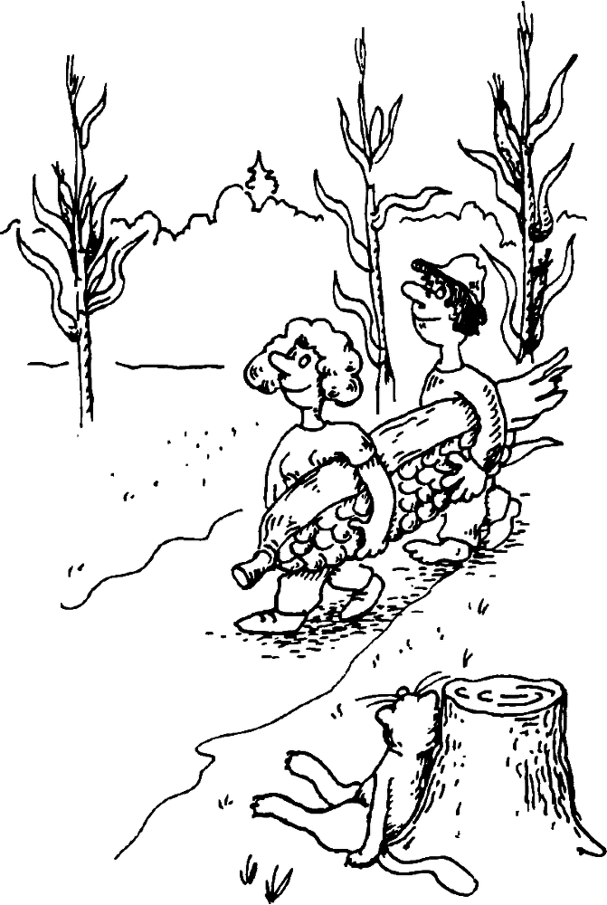 В Сибири - всегда с овощами image055.png
