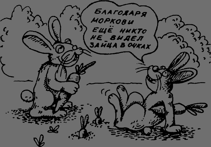 В Сибири - всегда с овощами image059.png