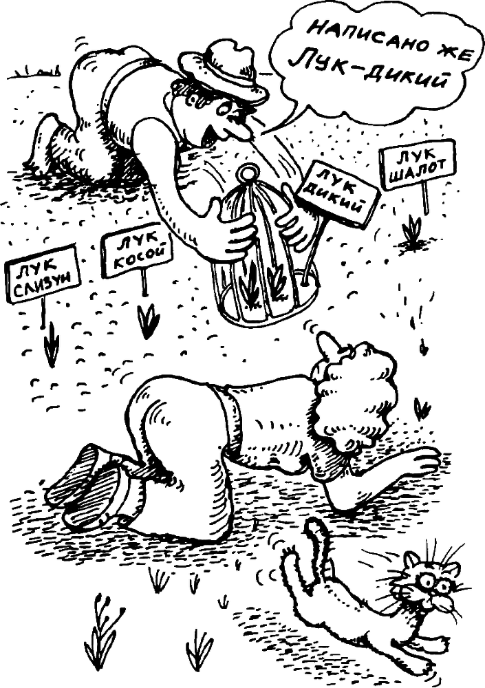 В Сибири - всегда с овощами image081.png