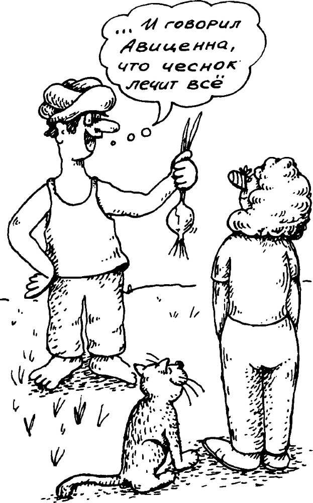 В Сибири - всегда с овощами image085.png
