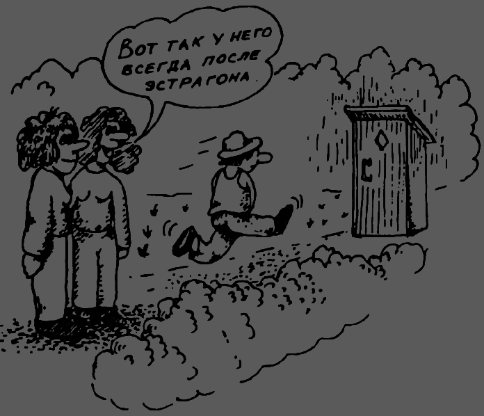 В Сибири - всегда с овощами image093.png