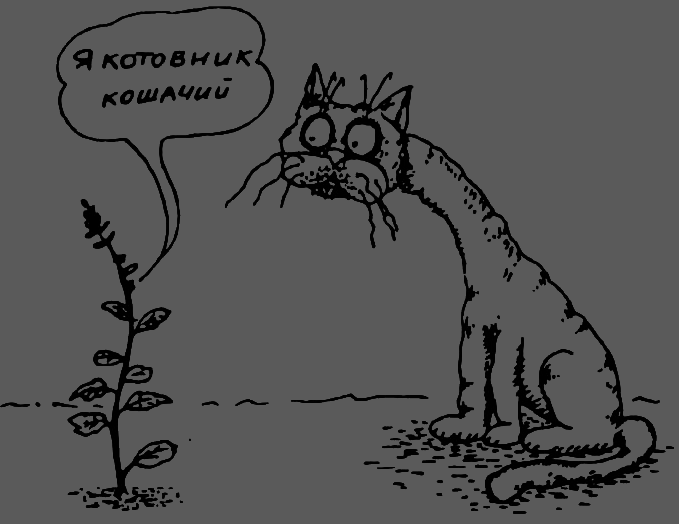 В Сибири - всегда с овощами image099.png