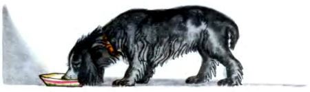 Рассказы i_002.jpg
