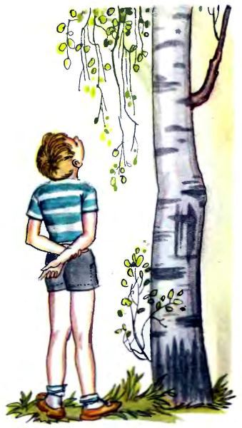 Рассказы i_018.jpg
