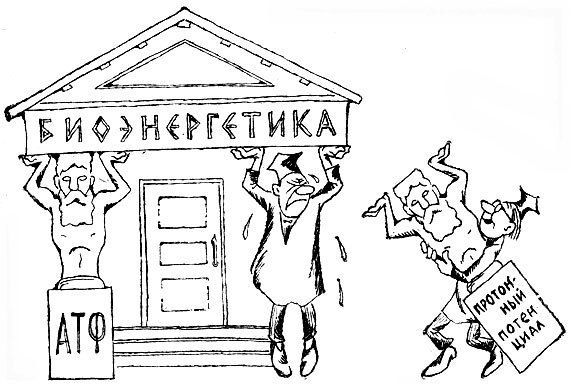 Рассказы о биоэнергетике _35.jpg