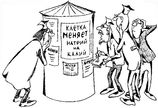 Рассказы о биоэнергетике _36.jpg