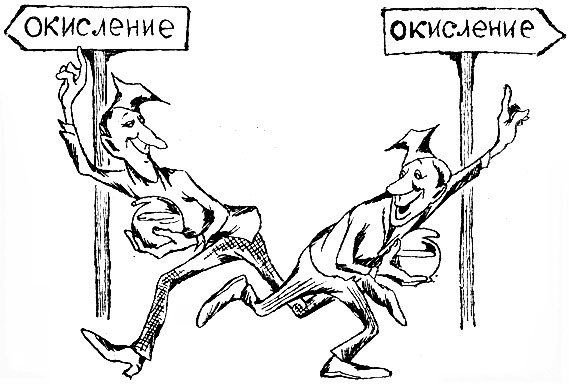 Рассказы о биоэнергетике _8.jpg