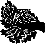 i_007.png